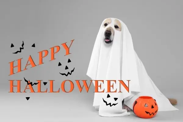 Happy Halloween from Atlantic Mortgage Consultants